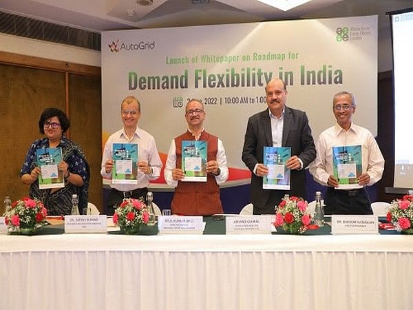 New study from AEEE lays out a 'Roadmap for Demand Flexibility in India' and effective low carbon strategies for DISCOMs to manage peak demand
