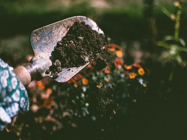 Adaptive soil recovery following wildfires is predicted by new technique: Study