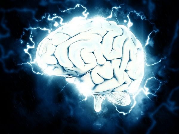 Light exposure might influence mood and cognitive disorders, find researchers 