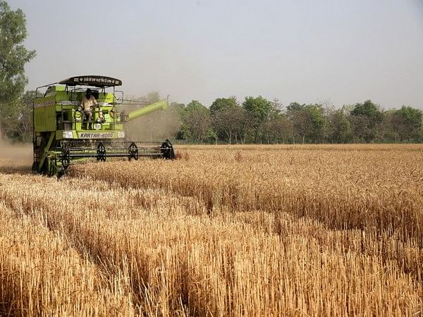 Wheat production in Ukraine likely to fall 41 pc in 2022-23 season