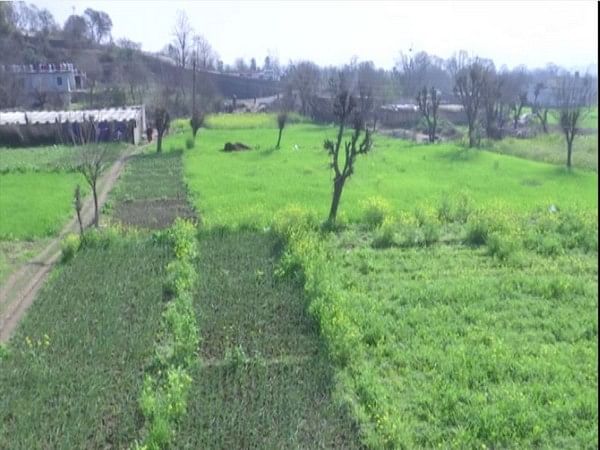 J-K sees rapid growth of agriculture entrepreneurs