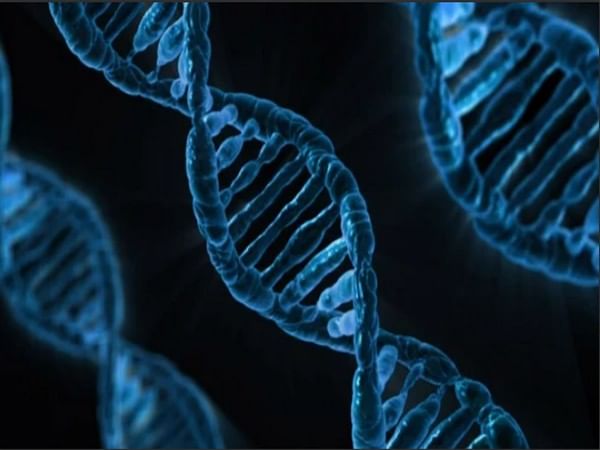 Quantum physics: Record entanglement of quantum memories