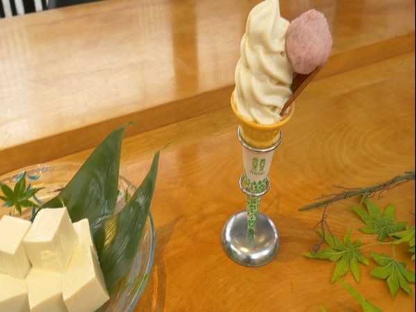 Nissei ice online cream