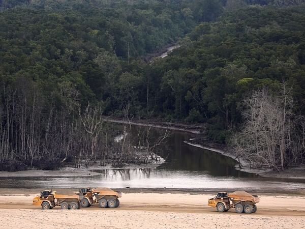 Malaysia plants 7 million trees to protect coastal forests