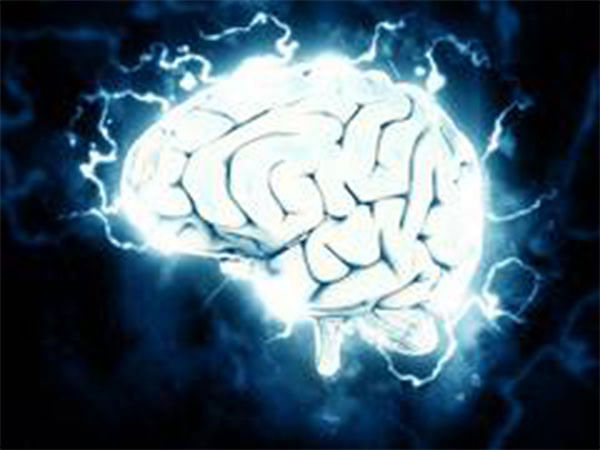 Researchers discover brain circuit that explains how light affects mood