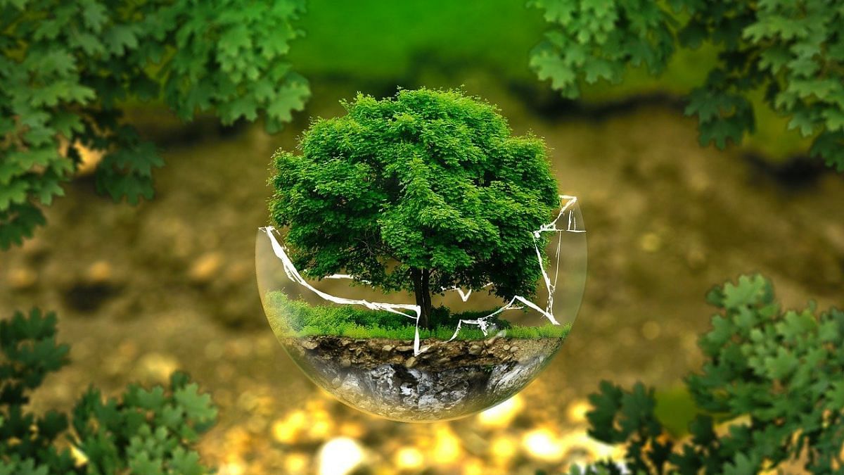 GDP doesn't capture full value of nature — global green panel ...