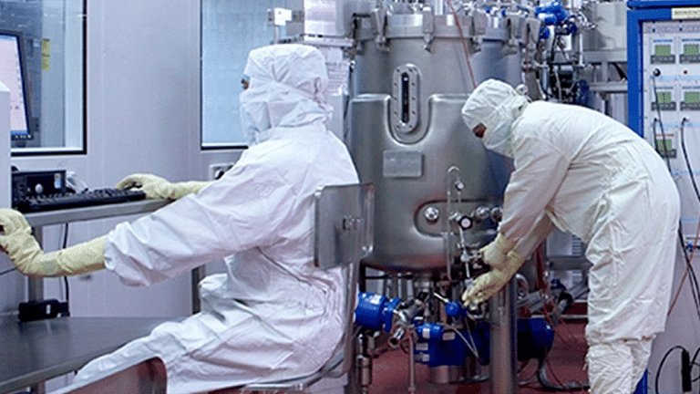 India’s first vaccine producers weren’t labs. They were children, cows, buffaloes, goats