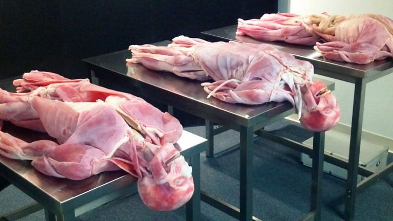SubscriberWrites: Medical colleges should incorporate 3D human body simulation for better learning experience