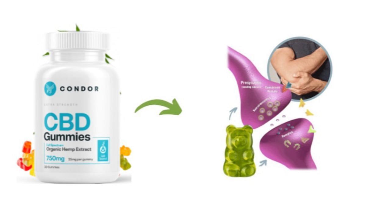 Condor CBD Gummies — Read reviews and Shark Tank truth