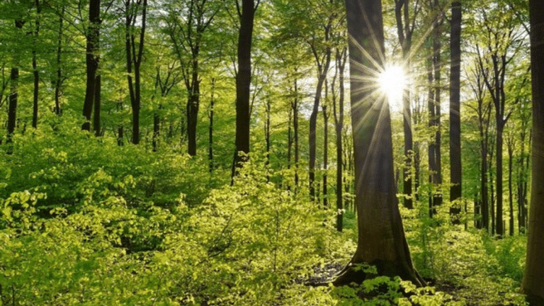 Ambulances for plants are taking root in India. Traffic give way, trees need first aid