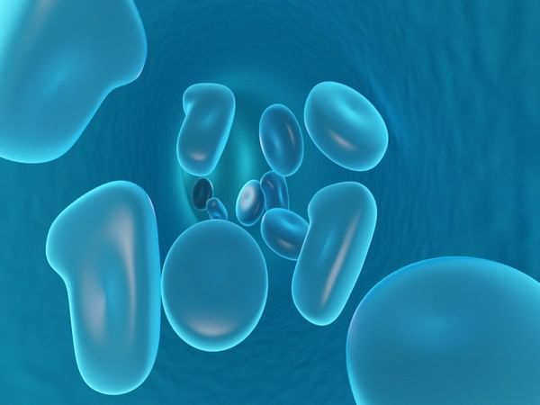 New method of inciting immunological responses is revealed
