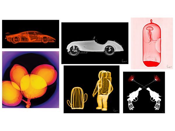 Karmaditya Baldota's X-ray art exhibition is on show at Nehru Art Center Gallery