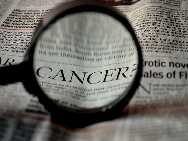 Researchers analyze structure of antibodies that could hold the key to more effective cancer treatments
