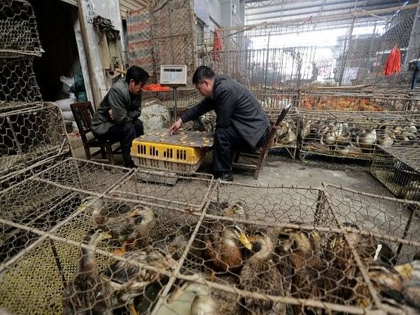 China's Wuhan seafood market likely cause of Covid-19 outbreak, find studies