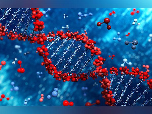 Synthetic tools can move DNA messages from one place to another: Research