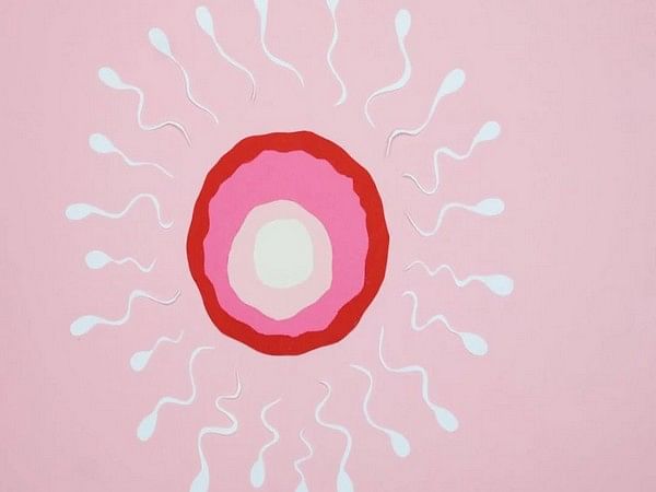 Harmful mutations before embryo implantation can be detected by sperm screening: Research
