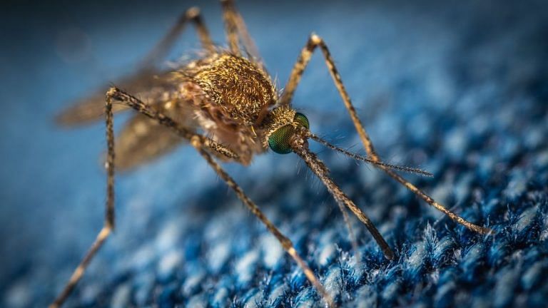 Neglected tropical diseases affect one in five people in the world. We need a rallying cry