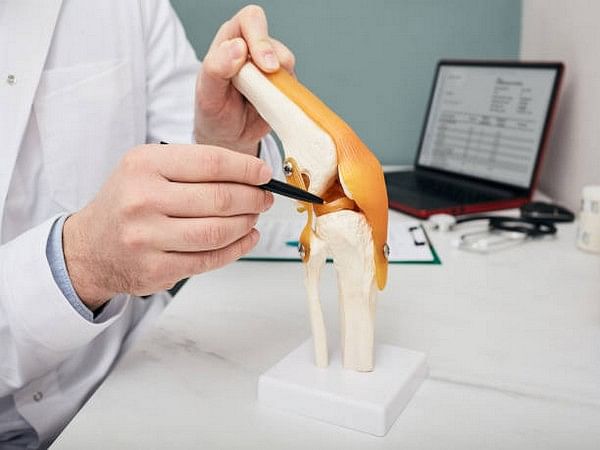 Study: Biohybrid material performs like cartilage