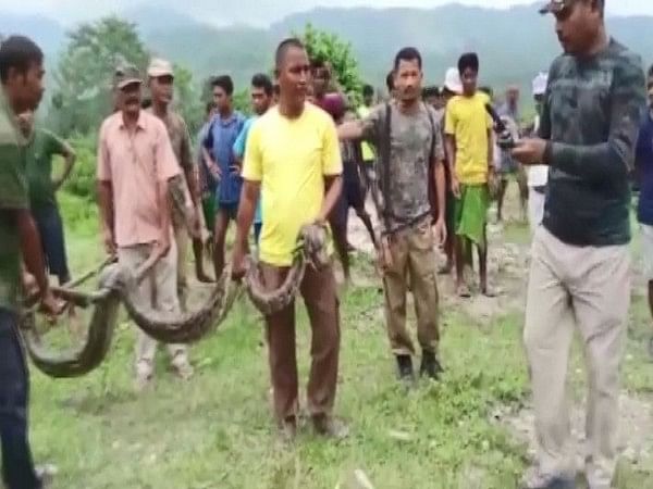 Assam: 12-feet-long python rescued in Baksa