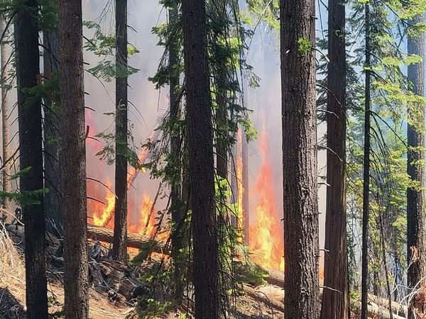 US famous national park partially closed due to wildfire US famous national park partially closed due to wildfire