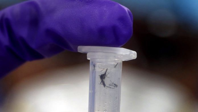 Representational image of a medical researcher preparing to run tests on Aedes mosquito | ANI