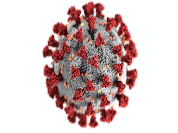 New study finds out why Omicron variant is highly transmissible
