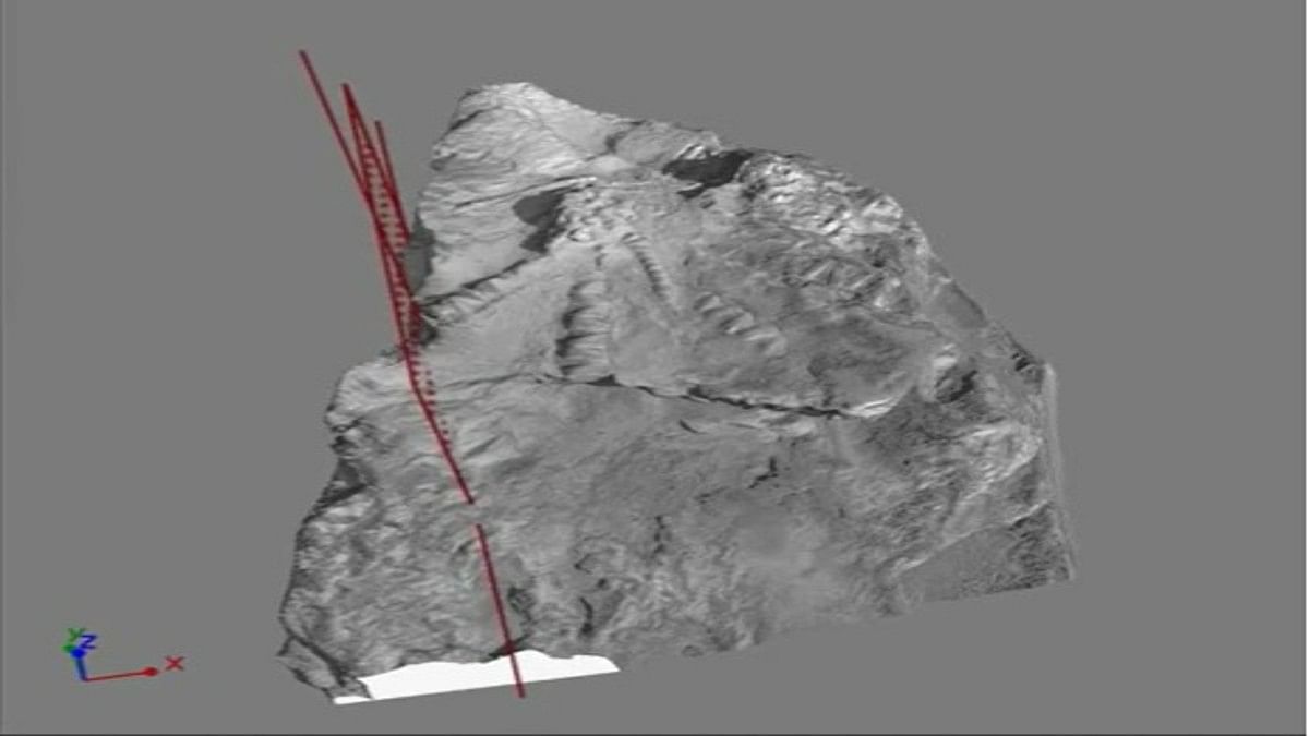 The first nearly complete feather star (Crinoidea) from the Upper Jurassic of Africa | Credit: Study published in Royal Society Open Science The first nearly complete feather star (Crinoidea) from the Upper Jurassic of Africa | Credit: Study published in Royal Society Open Science