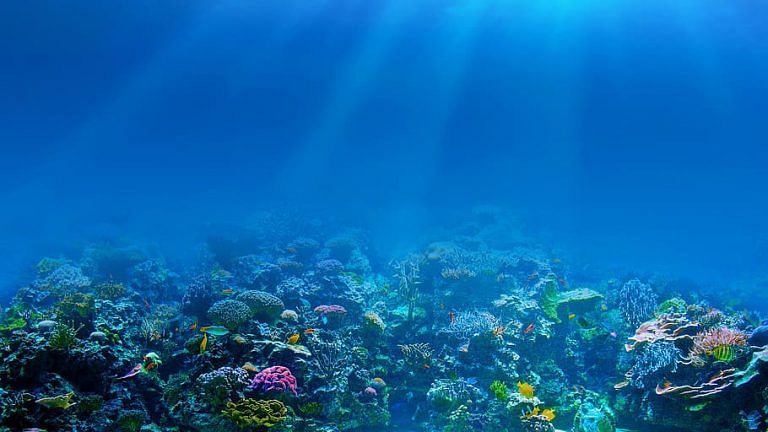 Oceans have 50 times more carbon than the atmosphere. A ‘code of conduct’ can rescue it