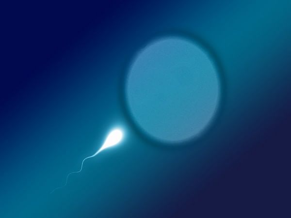 Sperm screening might detect harmful mutations before embryo implantation Sperm screening might detect harmful mutations before embryo implantation