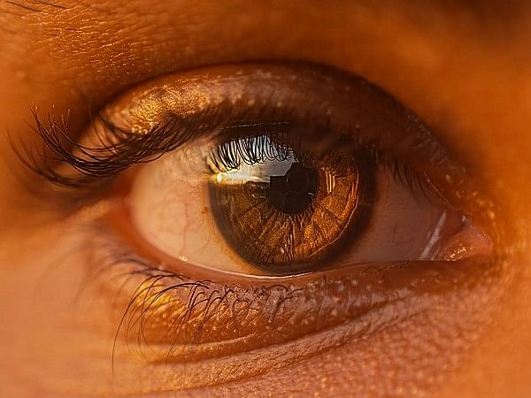 Scientists develop unique thermogel to help prevent scarring of retina