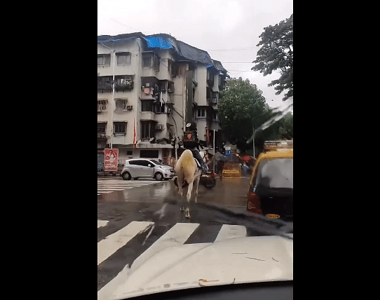 Man delivers food on horseback, Swiggy offers 5k reward for his identification