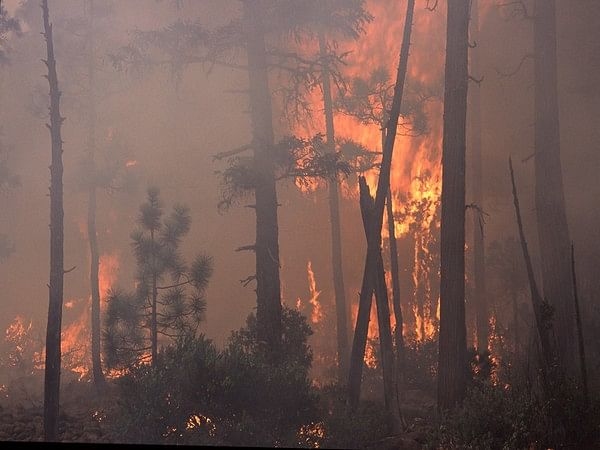 California made 25 arson arrests in June, as longer fire season warned