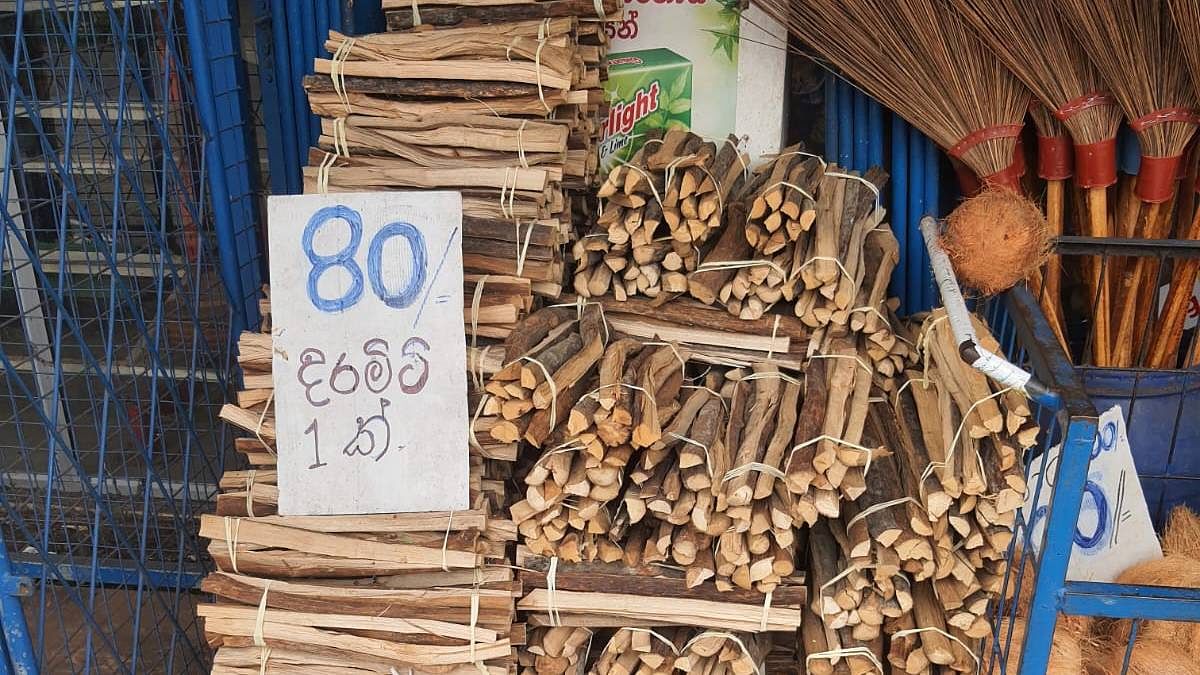 Firewood being sold in a suburb outside Colombo | Photo: Regina Mihindukulasuriya | ThePrint