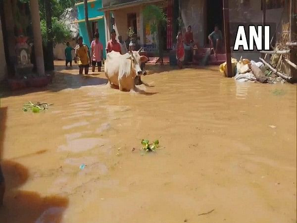 Over 4.67 lakh people affected due to floods in Odisha 