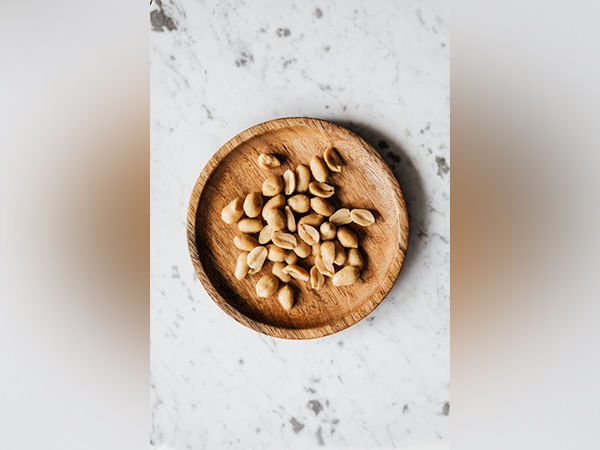 Peanut allergies can be reversed in mice by targeting microbiome: Study reveals