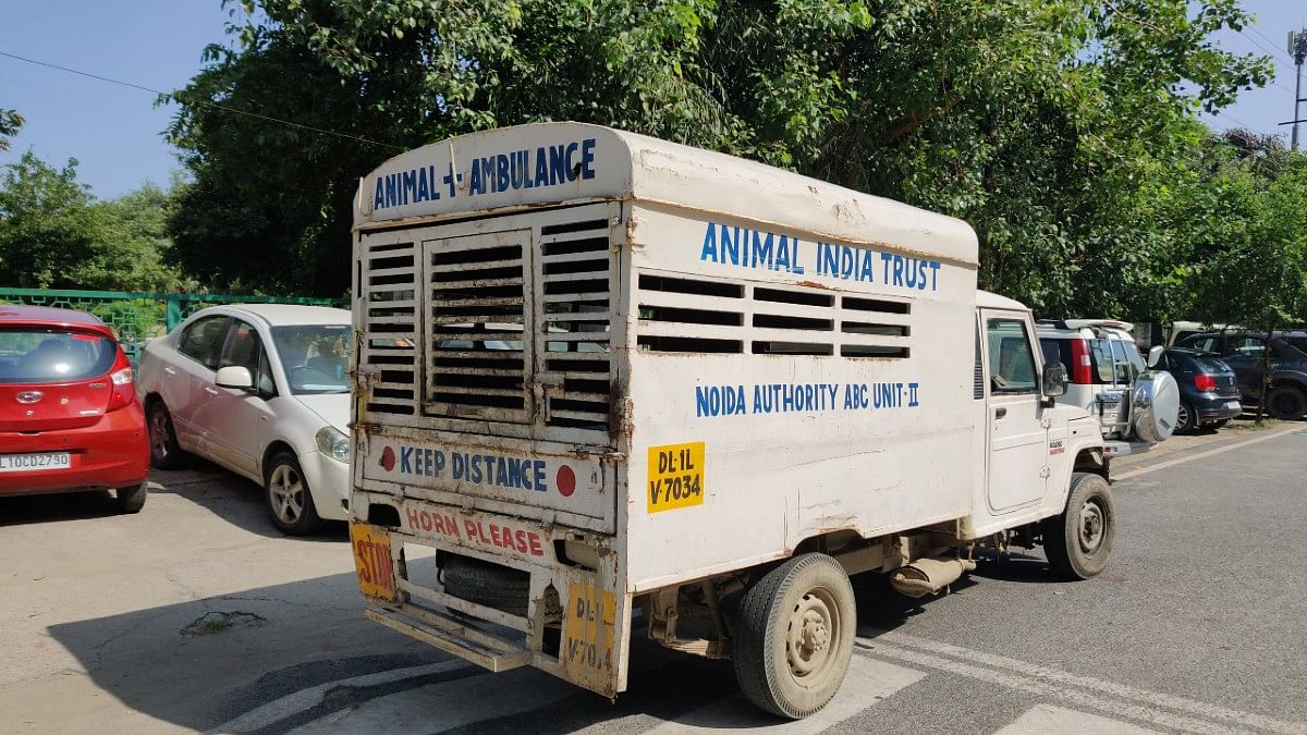 A van is parked to take away stray animals from the site where the demolition is to be carried out on Sunday | Amogh Rohmetra | ThePrint