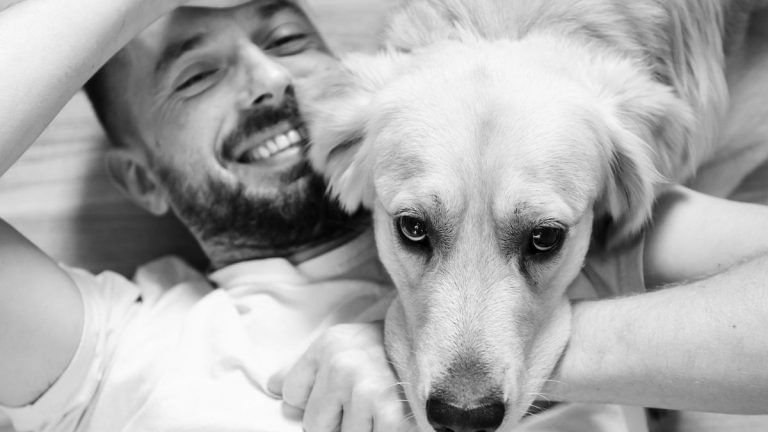 Dogs experience happy tears when reuniting with their owners, finds new study