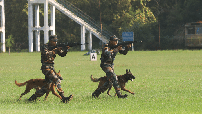 Army dogs with the Remount Veterinary Corps, Meerut | Manisha Mondal/ThePrint