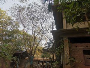 The building housing Baruah's clinic | Angana Chakrabarti | ThePrint
