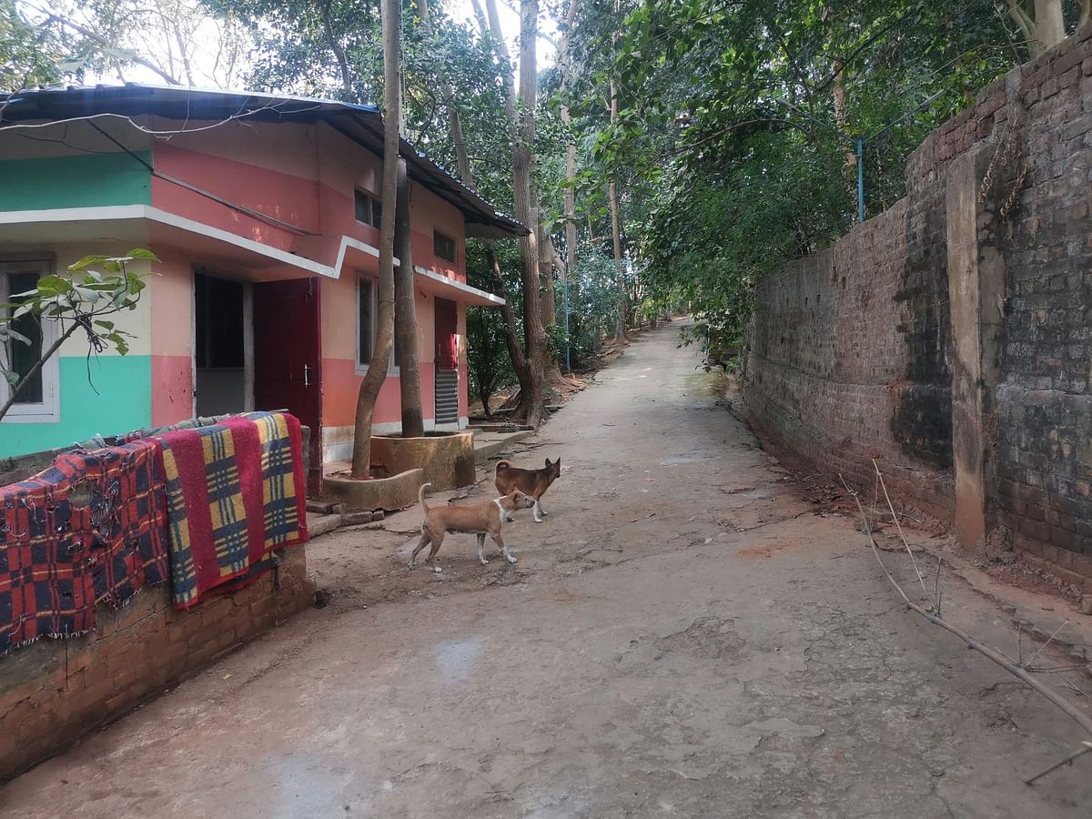 Road up the hill inside the compound surrounded by dogs | Angana Chakrabarti | ThePrint