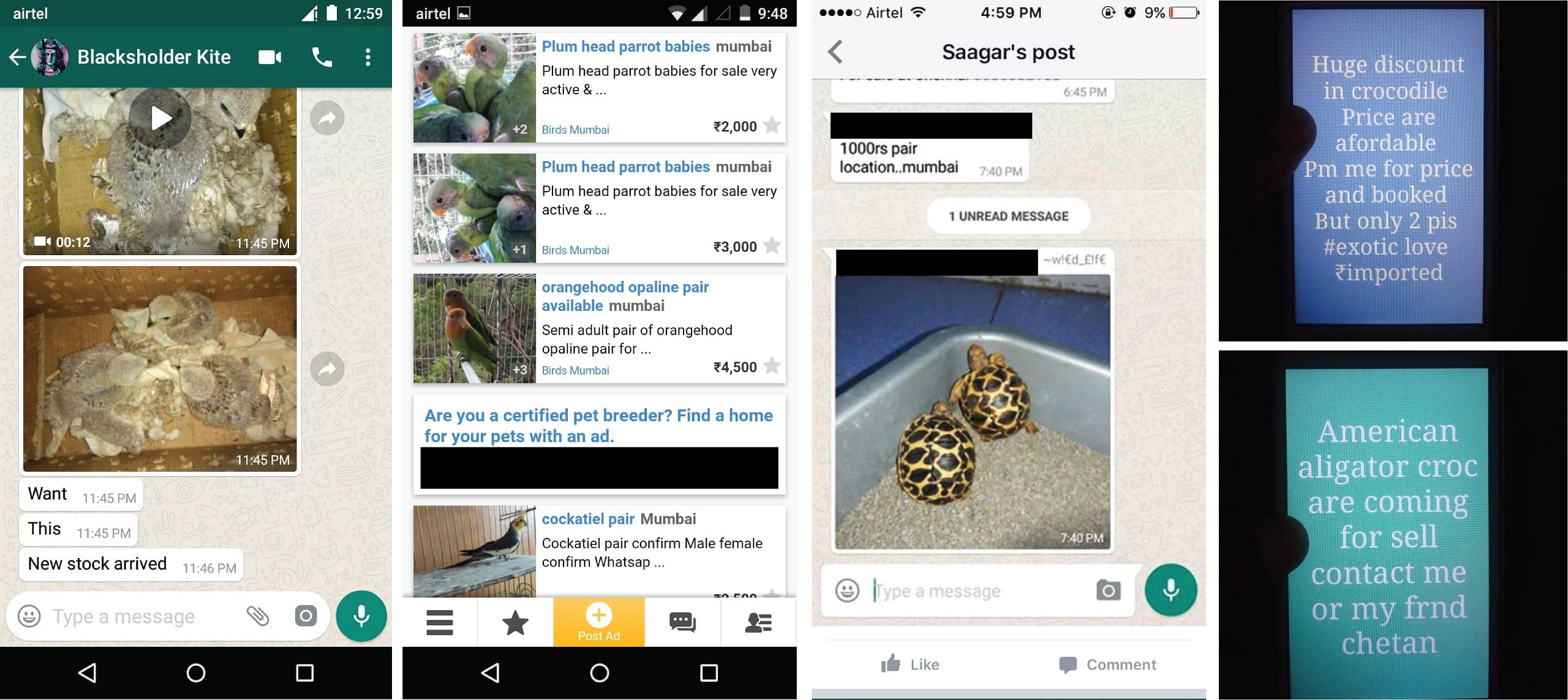  Collage of images from ecommerce sites, WhatsApp group chats and WhatsApp Status messages where both endemic and exotic wild animals are offered for sale. These groups are primarily created for dog breeders but invariably host several individuals involved in breeding and sale of wild animals as well.