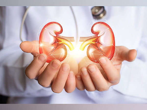 Study finds key regulators of urinary concentration in the kidney 