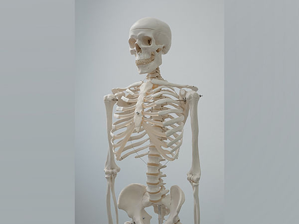 Researchers investigate effects of zero gravity on bones