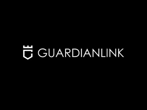GuardianLinks' Meta Cricket League Finale witnesses exceptional response