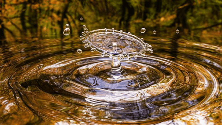 There’s now a universal right to healthy, sustainable environment. Why it can go a long way
