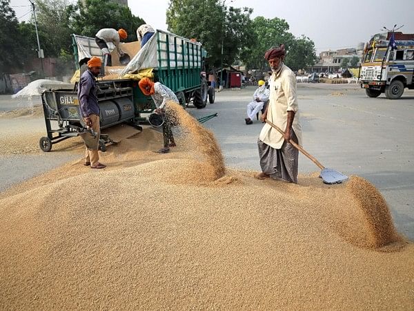 Pakistan refuses Russia's wheat offer to save USD 1.4 million amid food scarcity