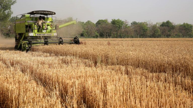 Willing to ‘feed the world’ by summer, India may have to import wheat come winter