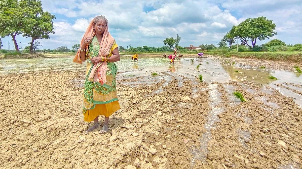 Prabhavati Devi in her field | Photo: Sayantan Bera | ThePrint