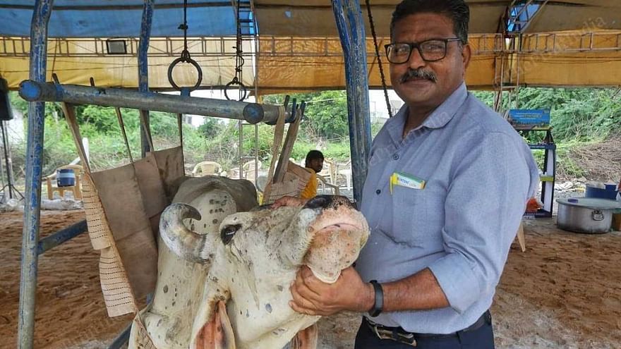 Dr Girish Parmar, who has been deputed as the liaison officer for Anjar &amp; Gandhidham, at the isolation centre for infected cattle in Anjar | Praveen Jain | ThePrint