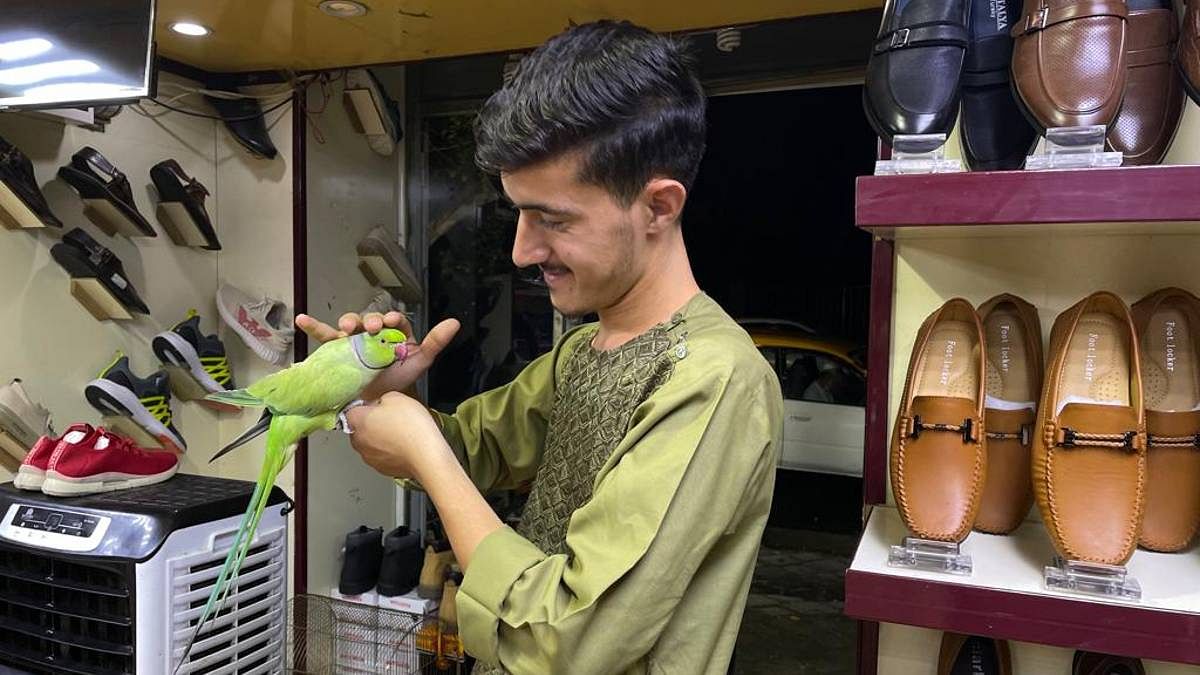 A young boy with his pet parrot at a shop in Kabul | Photo: Jyoti Malhotra | ThePrint